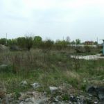 Уборка растительности