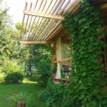 Солнцезащитная пергола