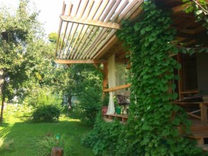 Солнцезащитная пергола